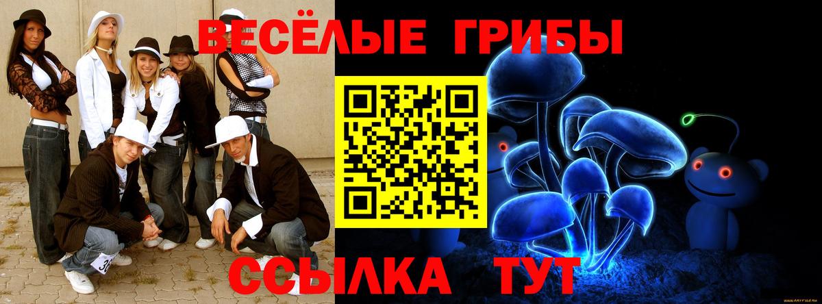 Галлюциногенные грибы прущие грибы Обнинск