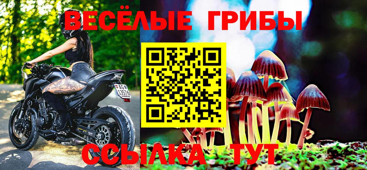 Галлюциногенные грибы Cubensis  Галлюциногенные грибы Psilocybine cubensis  цена наркотик  Вход с VPN  Обнинск 